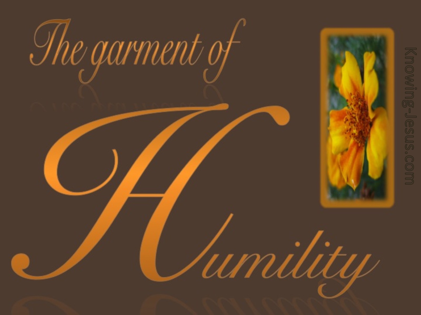 The Garment Of Humility (brown)